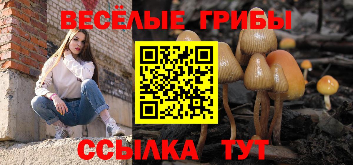 Псилоцибиновые грибы Psilocybe Ликино-Дулёво