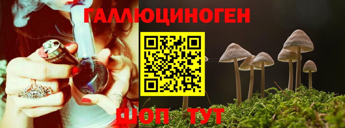 Галлюциногенные грибы Psilocybe  Галлюциногенные грибы Psilocybine cubensis  Вход с VPN  Ликино-Дулёво 